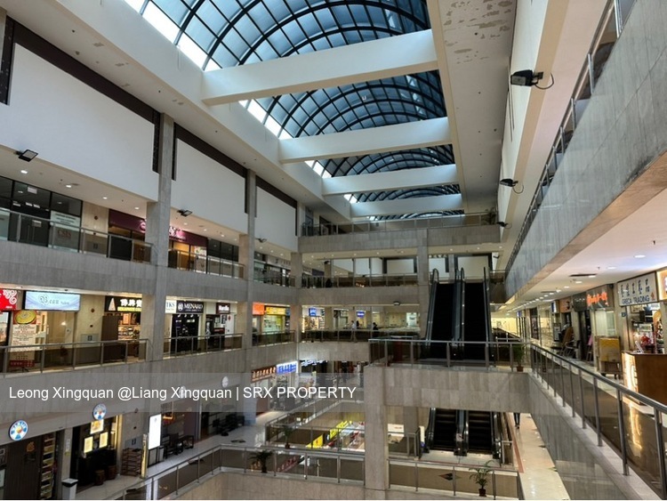 Fu Lu Shou Complex (D7), Shop House #505651661